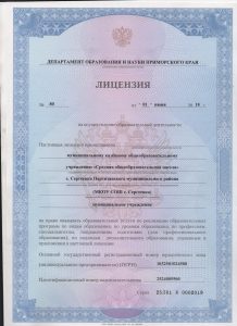 Лицензия на осуществление образовательной деятельности по виду образования "дополнительное образование детей и взрослых "